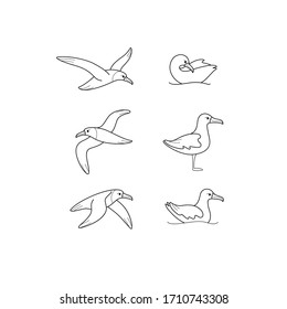 Cartoon bird icon set. Different poses of albatross. Vector illustration for prints, clothing, packaging, stickers.