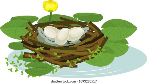 Cartoon bird nest with eggs and yellow water-lily plants with green leaves and yellow flowers