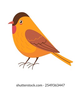 A cartoon bird with a red beak and orange feathers. It is standing on a white background