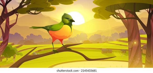 Cartoon bird sitting on tree branch, cute colorful birdie with green and yellow feathers at Asian rice field terraces in mountains scenery summer landscape, wild nature background, Vector illustration