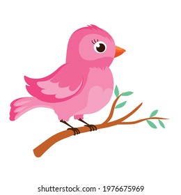 Cartoon bird vector illustration isolated on white background