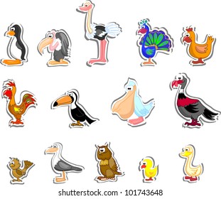Cartoon birds