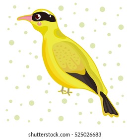 Cartoon birds