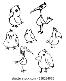 cartoon birds