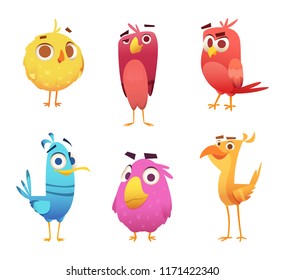 Pájaros de caricatura. Las águilas de pollo son caras de animales canarios y plumas vectoriales de las aves coloradas. Ilustración del color animal de las aves