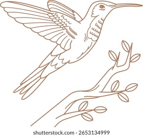 Cartoon Birds Collection – Cute Animal Clipart in EPS Format