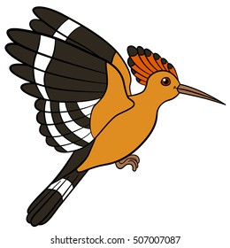 Cartoon birds. Cute beautiful hoopoe flies and smiles.