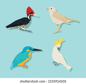 cartoon birds icon set design