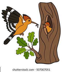 Cartoon birds. Mother hoopoe feeds her little cute baby.