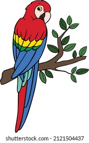 Cartoon birds. Parrot red macaw sits on the tree branch and smiles.