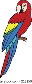 Cartoon birds. Parrot red macaw sits and smiles. It is happy.