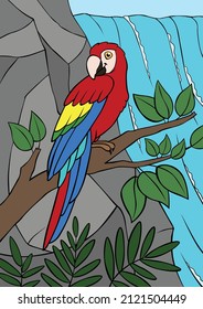 Cartoon birds. Parrot red macaw sits on the tree branch and smiles. There is waterfall here.