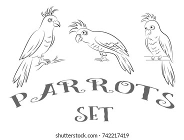 Cartoon Birds Parrots, Black Contours Isolated on White Background. Vector