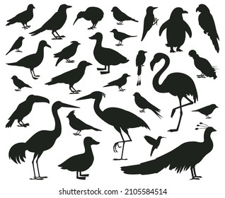 Cartoon birds silhouettes, black pigeon, toucan and parrot characters. Wildlife, woods or city birds, sparrow and seagull vector illustration set. Birds silhouettes toucan and pigeon black