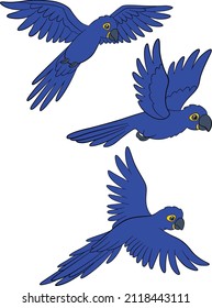 Cartoon birds. Three happy parrots blue macaw fly and smile.