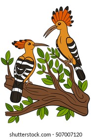 Cartoon birds. Two beautiful hoopoes sit on the branch and smile.