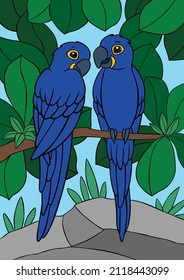 Cartoon birds. Two cute parrots blue macaw sit on the tree branch. They are in love.