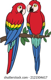 Cartoon birds. Two cute parrots red macaw sit on the tree branch. They are in love.