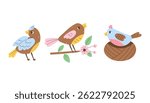 Cartoon Birds Vector Set. Colorful Hand drawn Songbird Finch poses collection Nature Wildlife animal sitting in nest branch. Flat style illustration. 