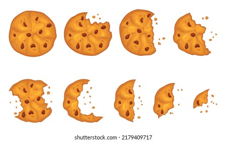 Cartoon bitten cookie. Gradual eating biscuit, classic cookies with chocolate pieces, crumbs and teeth marks, homemade delicious sweet snack, sugar bakery product, recent vector isolated set