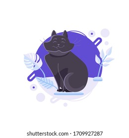 Cartoon black Bombay cat standing on the blue platform. Completed and isolated vector illustration.