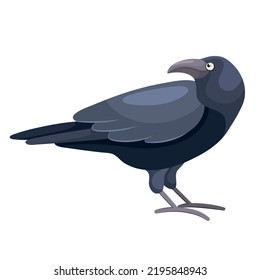 Cartoon black crow in flat style. Old sitting raven for a spooky festive Halloween design. Cute colorful city bird. Common European bird. Simple icon. Picture for educational children's book.