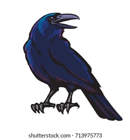  Cartoon black crow isolated on white background. Old and wise bird. Raven Halloween character. Hand drawn sketch style vector illustration.