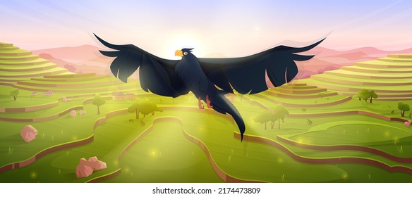 Cartoon black eagle bird flying over Asian rice field terraces landscape. Paddy plantation in mountains, scenery summer wild nature background. Falcon, crow or hawk wildlife, Vector illustration