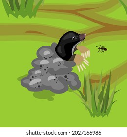 Cartoon black mole on molehill in natural habitat