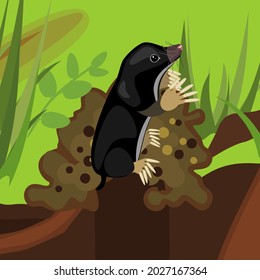 Cartoon black mole on molehill in natural habitat