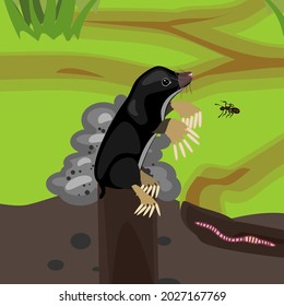 Cartoon black mole on molehill and earthworm in natural habitat