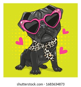 Cartoon Black Pug Dog with pink glasses and scarf isolated on a white background