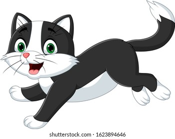 Cartoon black and white cat on white background