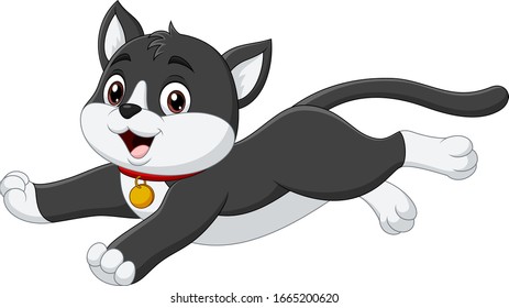 Cartoon black and white cat on white background