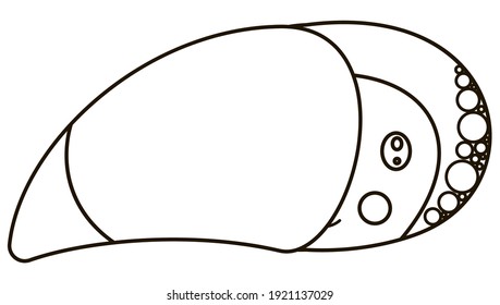 Cartoon black and white cute face of character rainbow toucan with a big beak, and smile. Isolated outline exotic head of a tropical bird for the digital stamp, coloring book, symbol, logo. Vector.