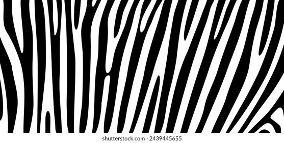 Cartoon black and white safari zebra, line pattern. Zebra print, animal skin, tiger stripes sign. Africa, animal texture wave. jungle patroon.