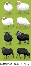 Cartoon Black And White Sheep.