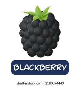 vectores de frutos de mora negra de dibujos animados aislados en fondo blanco