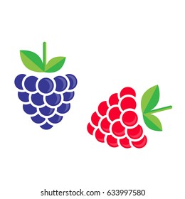 cartoon blackberry and raspberry vector