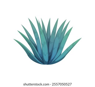 Cartoon blue agave plant, ingredient for tequila production, desert cactus flower with sharp, spiky leaves arranged in a rosette shape. Isolated vector significant in both Mexican culture and cuisine