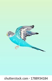 cartoon of blue budgerigar in flight