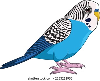 Cartoon Blue Budgie Parakeet on White Background