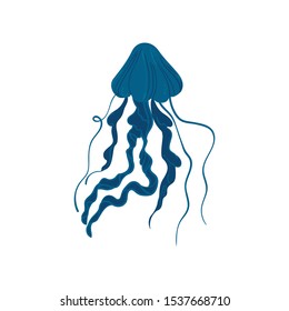 Cartoon blue jellyfish isolated on white background - hand drawn sea animal with dark color and long flowing tentacles - aquatic creature vector illustration.