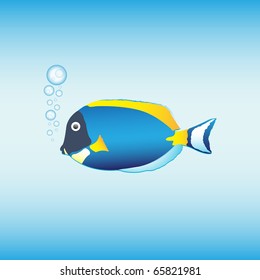 Cartoon blue tang, vector illustration