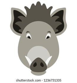 cartoon boar face,flat style, front view