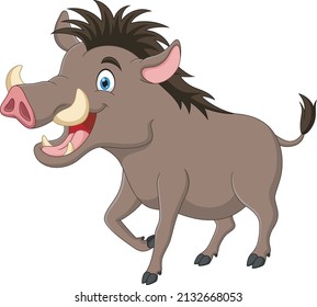 Cartoon of a boar isolated on white background