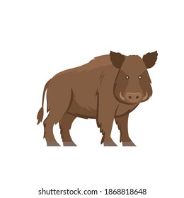 Cartoon boar on a white background. Flat cartoon illustration for kids.