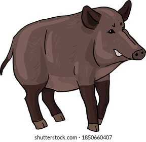 cartoon boar vector isolated drawing