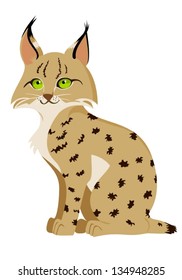 Cartoon Bobcat