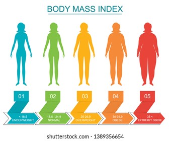 Cartoon Body Mass Index Infographics Concept Stock Vector (Royalty Free ...